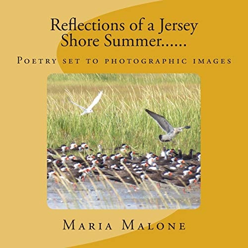 Reflections of a Jersey Shore Summer... ...