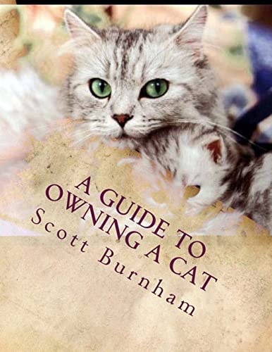 A Guide to Owning a Cat What Do I Do When I Go on Vacation