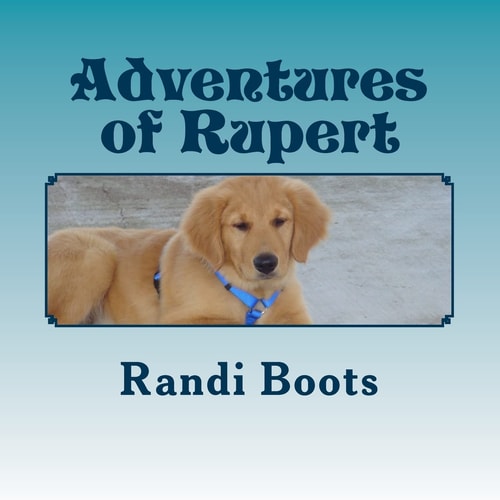 Adventures of Rupert Roo's New Day