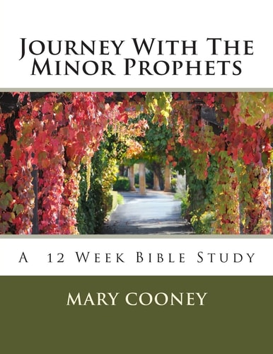 Journey With The Minor Prophets A Bible Study