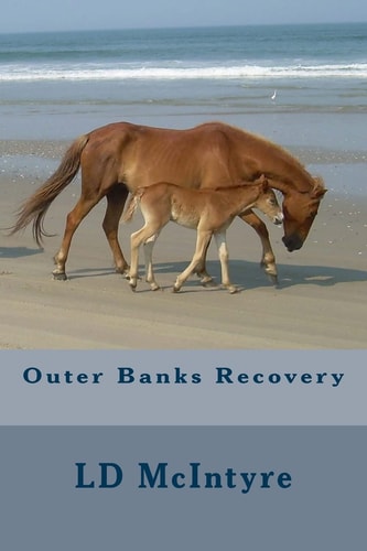 Outer Banks Recovery
