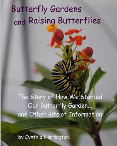 Butterfly Gardens and Raising Butterflies The Story of How We Started Our Butterfly Garden... and Other Bits of Information