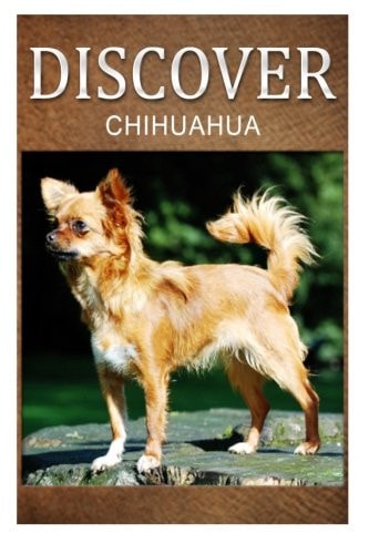 Chihuahua - Discover Early Reader's Wildlife Photography Book