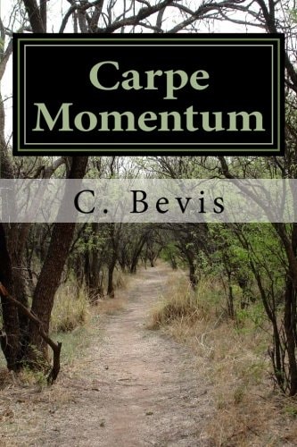 Carpe Momentum Seize the Moment