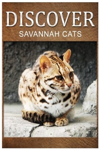 Savannah Cats - Discover Early Reader's Wildlife Photography Book