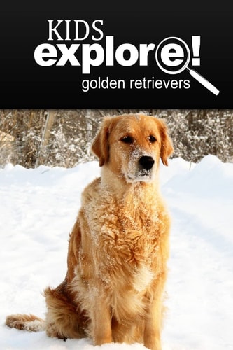 Golden Retrievers - Kids Explore Animal Books Nonfiction - Books Ages 5-6