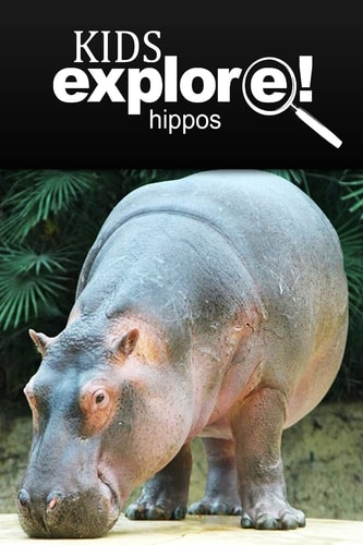 Hippos - Kids Explore Animal Books Nonfiction - Books Ages 5-6