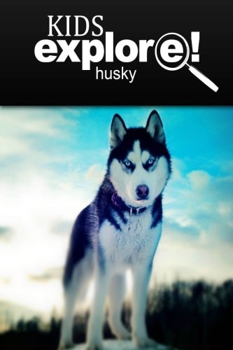 Husky - Kids Explore Animal Books Nonfiction - Books Ages 5-6