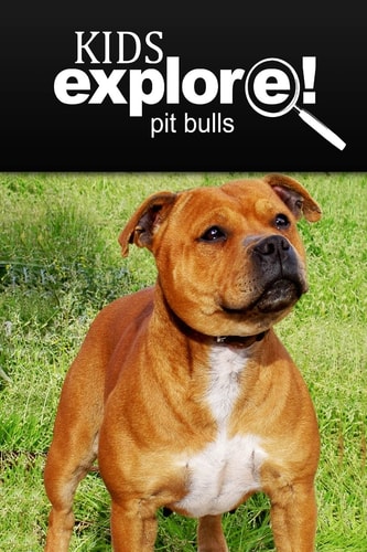 Pit Bull - Kids Explore Animal Books Nonfiction - Books Ages 5-6