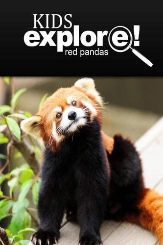 Red Pandas - Kids Explore Animal Books Nonfiction - Books Ages 5-6