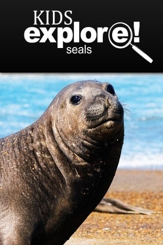 Seals - Kids Explore Animal Books Nonfiction - Books Ages 5-6