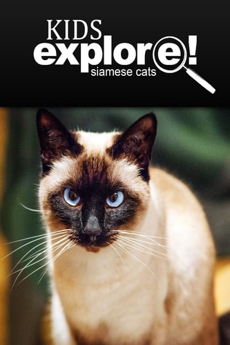 Siamese Cats - Kids Explore Animal Books Nonfiction - Books Ages 5-6