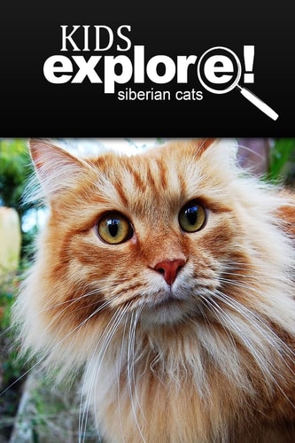 Siberian Cats - Kids Explore Animal Books Nonfiction - Books Ages 5-6