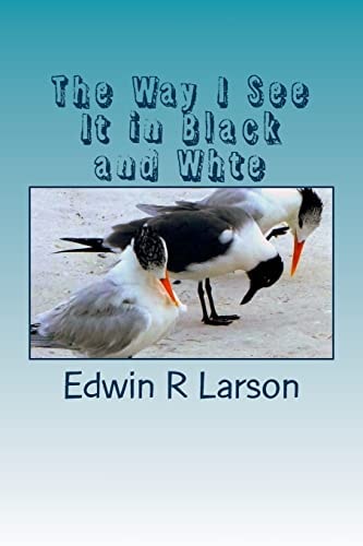 The Way I See It First Book of Snapshot Cartoons