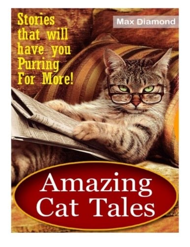 Amazing Cat Tales