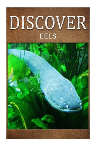 Eels - Discover Early Reader's Wildlife Photography Book