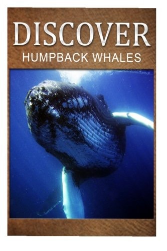 Humpback Whales - Discover Early Reader's Wildlife Photography Book