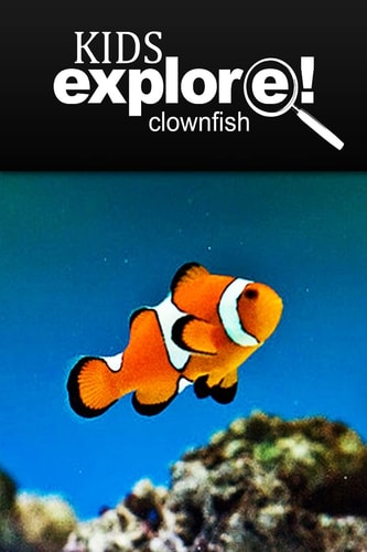 Clown Fish - Kids Explore Animal Books Nonfiction - Books Ages 5-6