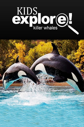 Killer Whales - Kids Explore Animal Books Nonfiction - Books Ages 5-6