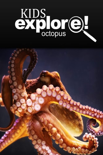Octopus - Kids Explore Animal Books Nonfiction - Books Ages 5-6