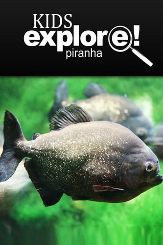 Piranha - Kids Explore Animal Books Nonfiction - Books Ages 5-6