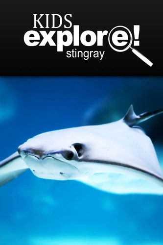Stingray - Kids Explore Animal Books Nonfiction - Books Ages 5-6