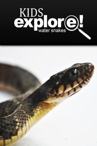 Water Snake - Kids Explore Animal Books Nonfiction - Books Ages 5-6