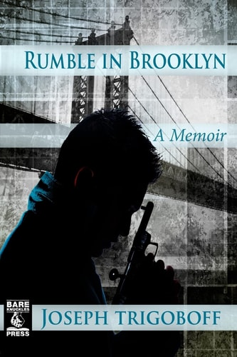 Rumble in Brooklyn A Memoir