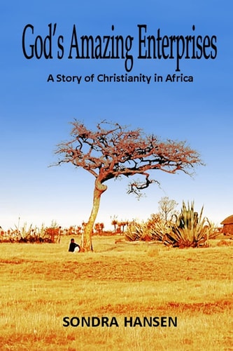 God's Amazing Enterprises A Story of Christianity in Africa
