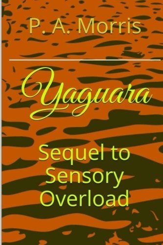 Yaguara The Sequel to SENSORY OVERLOAD