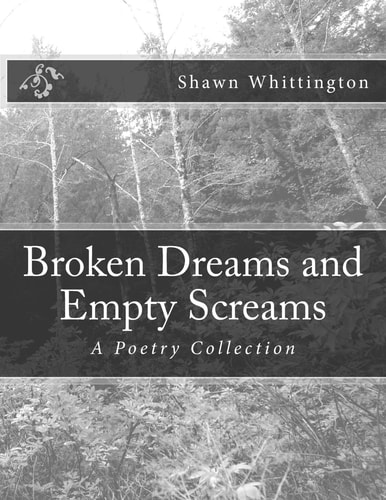 Broken Dreams and Empty Screams A Poetry Collection