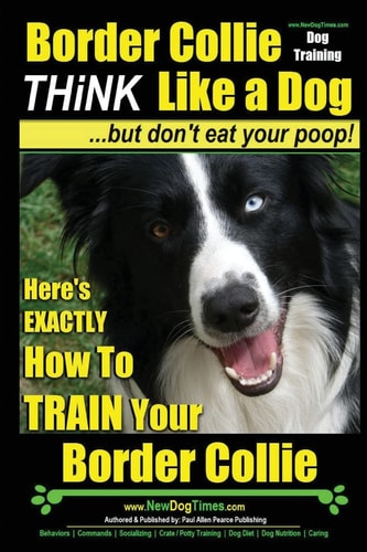 Border Collie Dog Training - Think Like a Dog, But Don't Eat Your Poop! Here's EXACTLY How To Train Your Border Collie