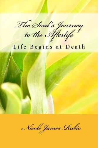 The Soul's Journey to the Afterlife Life Begins at Death