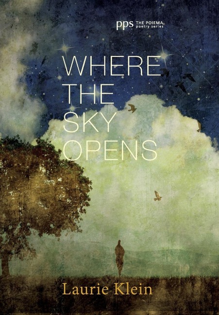 Where the Sky Opens: A Partial Cosmography