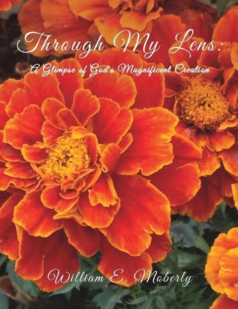 Through My Lens: A Glimpse of Gods Magnificent Creation