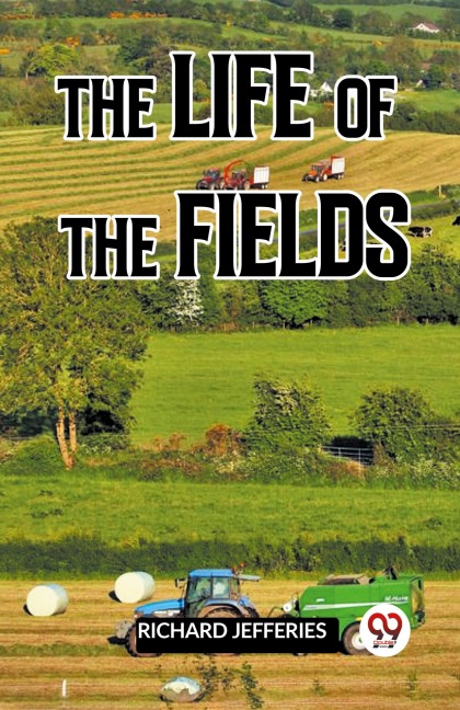 Touching All the Bases: A Complete Guide to Baseball Success on and Off the Field