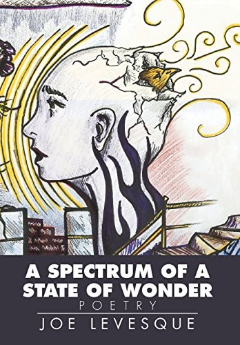 A Spectrum of a State of Wonder Poetry