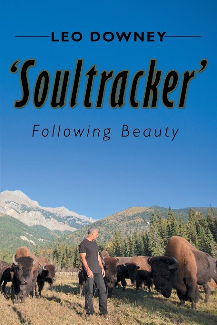 Soultracker: Following Beauty