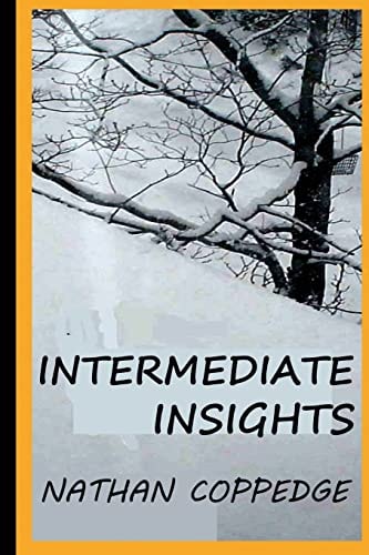 Intermediate Insights Thoughts Between Epiphanies and the Commonsense