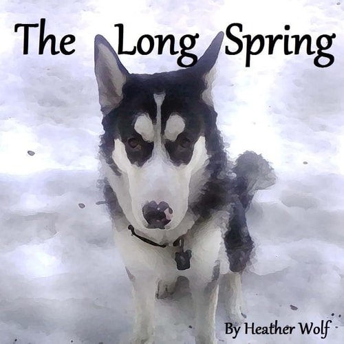 The Long Spring