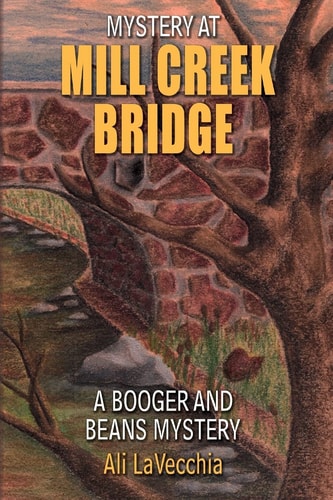 Mystery at Mill Creek Bridge A Booger and Beans Mystery