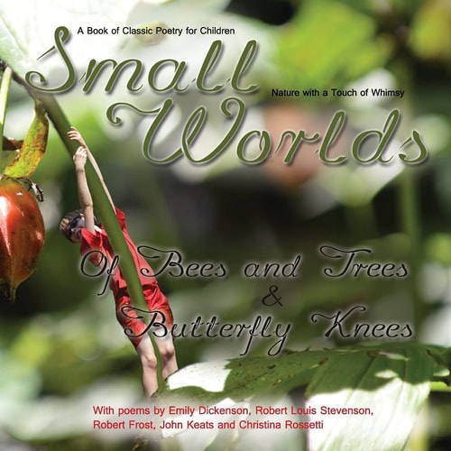 Small Worlds, Of Bees and Trees and Butterfly Knees, A Book of Classic Poetry for Children Nature with a Touch of Whimsy