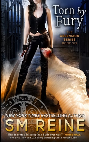 Torn by Fury An Urban Fantasy Novel