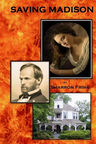 Saving Madison : A Civil Affair