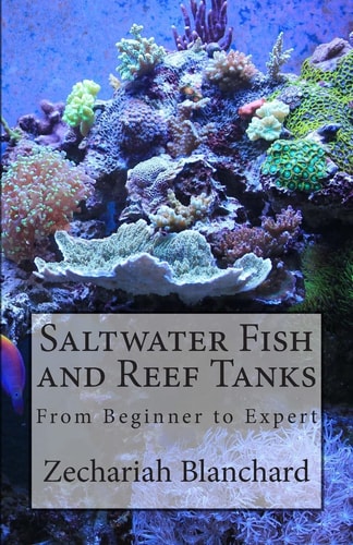 Saltwater Fish and Reef Tanks From Beginner to Expert