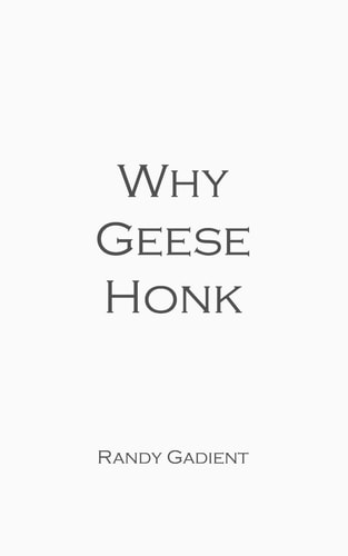 Why Geese Honk The Power of Encouragement