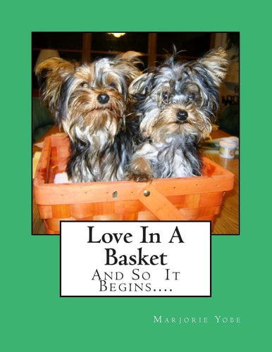 Love In A Basket