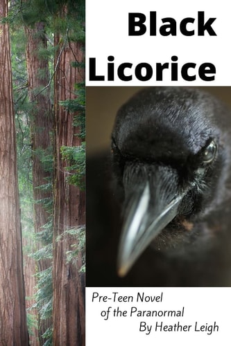 Black Licorice A Young Adult Novel Of The Paranormal, Risk, and Loyalty