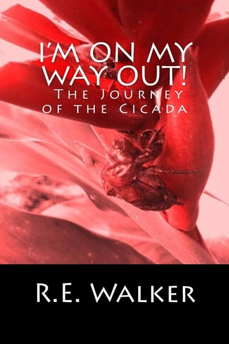 I'm On My Way Out! The Journey of the Cicada