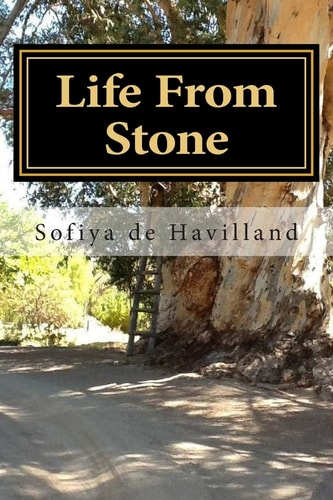 Life From Stone The Story of Pasha, the Boy from Ukraine